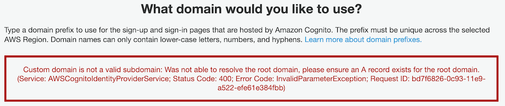 Custom domain not valid